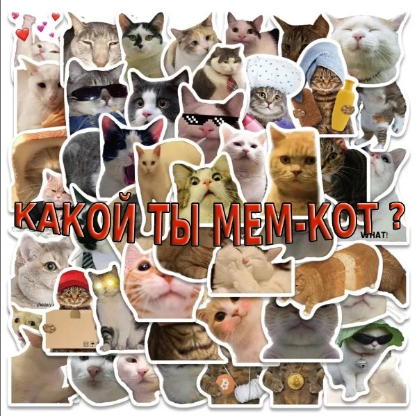 Какой ты мем кот?