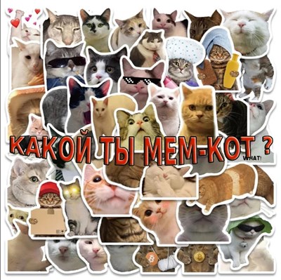 Какой ты мем кот?
