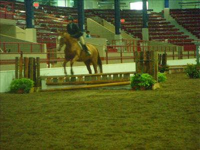 What Type Of Rider Will You Be The Next Time You R
