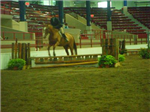 What Type Of Rider Will You Be The Next Time You R