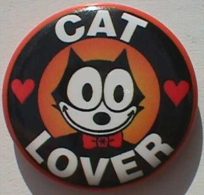 Are You A Cat Lover