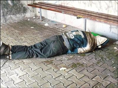Bezdomovec Nebo Prase?