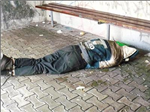 Bezdomovec Nebo Prase?