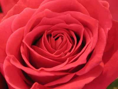 What Your Love Is All About???