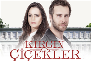Kırgın Çiçeklerede Kimsin