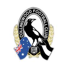 Which Afl Team Do You Think Will Win The Premiersh