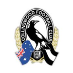 Which Afl Team Do You Think Will Win The Premiersh