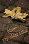 Yaşamındaki Gizemler