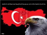 4 Büyükler Arasında En İyi Kim?