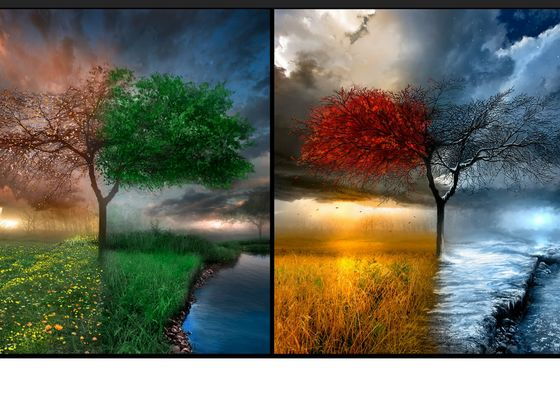 Which Season Are You? 
