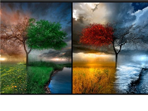 Which Season Are You? 