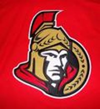 Which Hockey Team Do You Like Better?