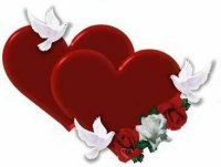 He / She Loves Me_He /She Loves Me Not