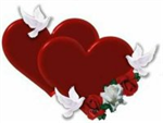 He / She Loves Me_He /She Loves Me Not