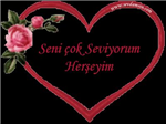 Ne Kadar Seviyorsun