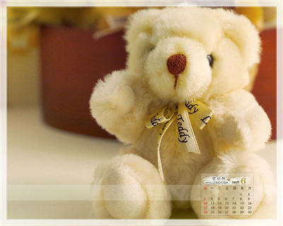 Teddy