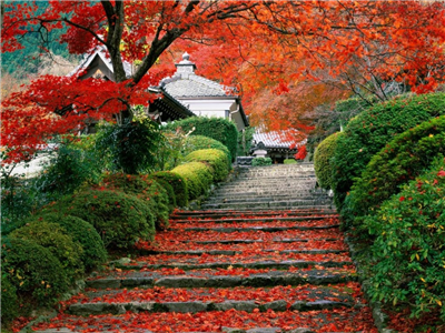 Magical place