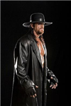 Wwe Poll