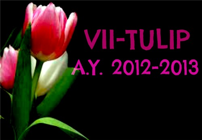 7-Tulip Sy2012-2013 Q&A 