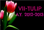 7-Tulip Sy2012-2013 Q&A 