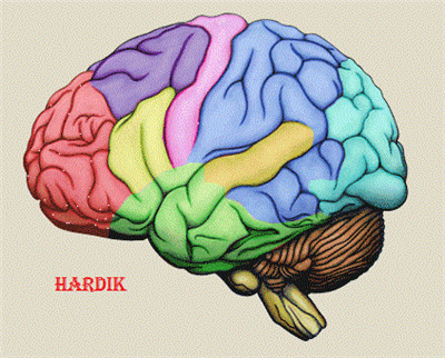 Improve Knowledge