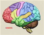 Improve Knowledge