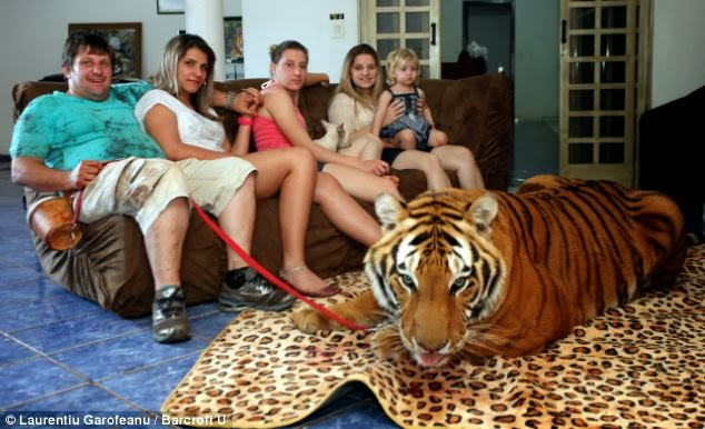 En Que Familia Habitas