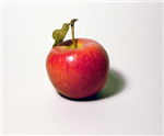 What Kind Of Fruit Are You?