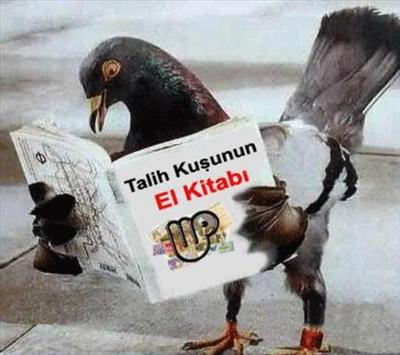 Bu Gün Şanslı Mısın?
