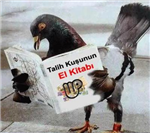 Bu Gün Şanslı Mısın?
