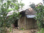 Cùng Nhau Đoán Nhà