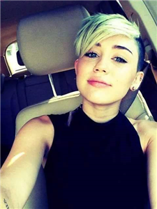 Smiler Testi