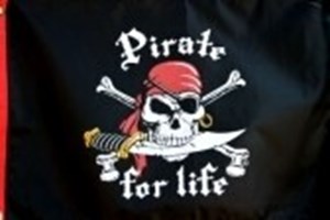 Eres Un/A Pirata?