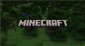 Cuanto Sabes De Minecraft