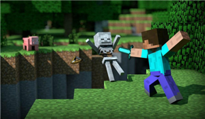 Apa Anda Pro Minecrafter  ?