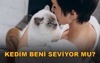 Beni seviyor mu