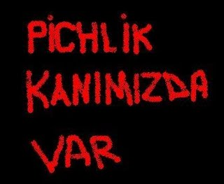 Ne Kadar Piçsin?
