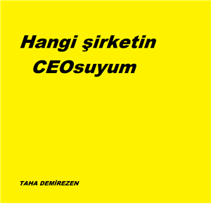 Hangi Şirketin Ceosuyum