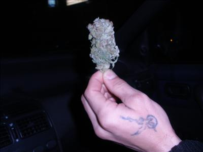 Juntemonos Para Q Se Legalize El Cannabis !!