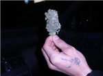 Juntemonos Para Q Se Legalize El Cannabis !!