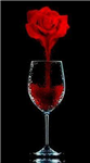 Bloody Birthday