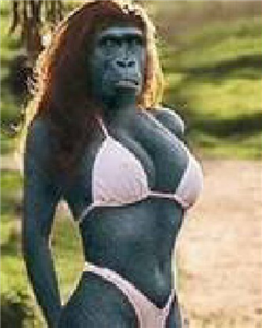 Que Animal Eres?