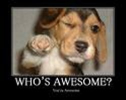 How Awesome Are You?