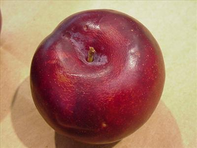 What Shade Of Purple R U?