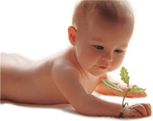¿Que Sera Tu Bebe?