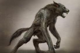 What Kind Of Wolf Are You?