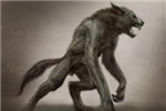 What Kind Of Wolf Are You?