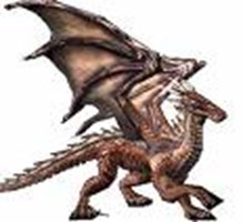 What Dragon Are U ?