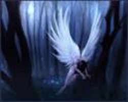 Angel Or Devil