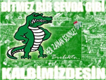Beşiktaşmı Bursamı?